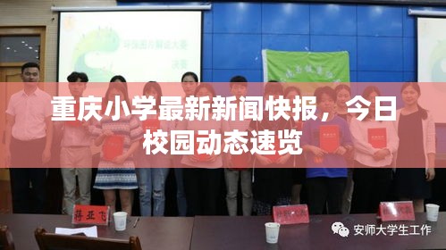 重慶小學最新新聞快報，今日校園動態(tài)速覽