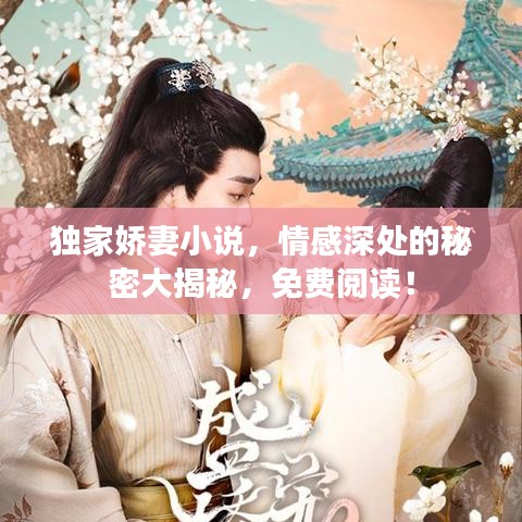 獨(dú)家嬌妻小說，情感深處的秘密大揭秘，免費(fèi)閱讀！