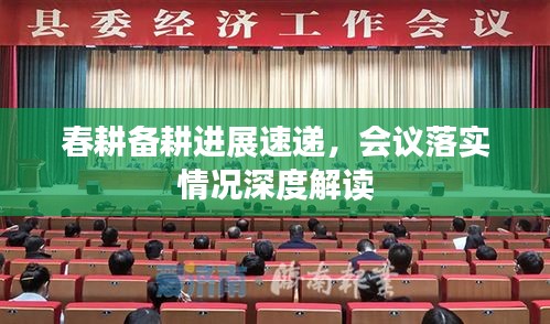 春耕備耕進展速遞，會議落實情況深度解讀