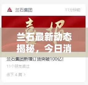 蘭石最新動(dòng)態(tài)揭秘，今日消息一網(wǎng)打盡！
