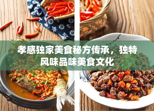 孝感獨(dú)家美食秘方傳承，獨(dú)特風(fēng)味品味美食文化