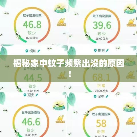 揭秘家中蚊子頻繁出沒的原因！