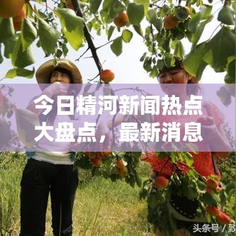 今日精河新聞熱點大盤點，最新消息綜述