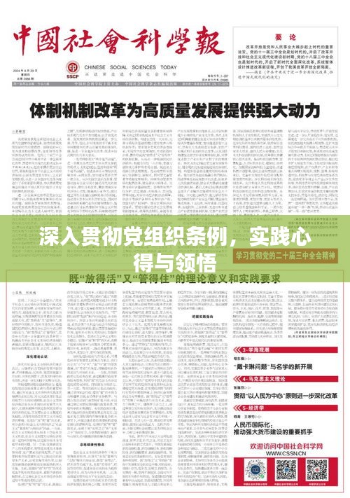 深入貫徹黨組織條例，實踐心得與領(lǐng)悟