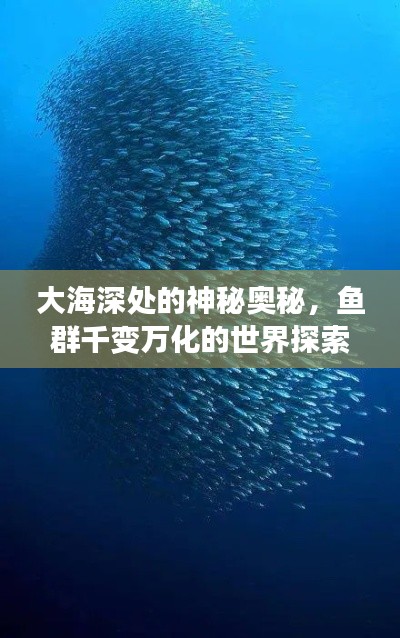 大海深處的神秘奧秘，魚群千變?nèi)f化的世界探索
