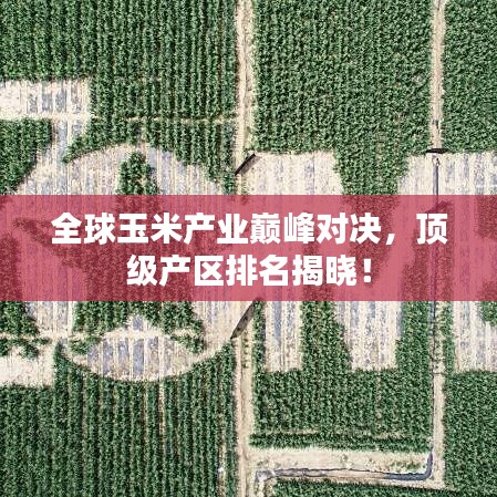 全球玉米產(chǎn)業(yè)巔峰對(duì)決，頂級(jí)產(chǎn)區(qū)排名揭曉！