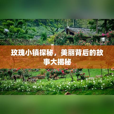 玫瑰小鎮(zhèn)探秘，美麗背后的故事大揭秘