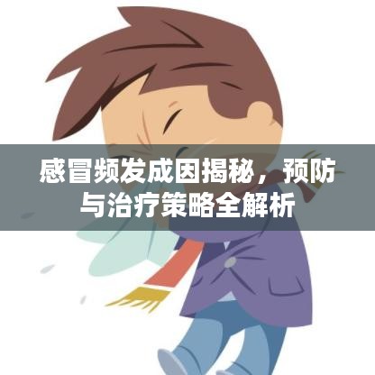 感冒頻發(fā)成因揭秘，預(yù)防與治療策略全解析