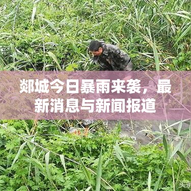 郯城今日暴雨來襲，最新消息與新聞報道