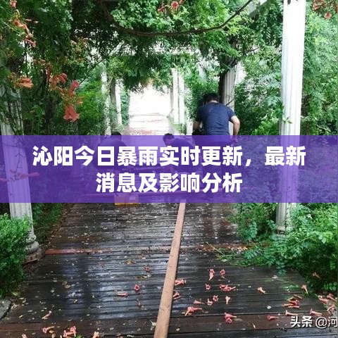 沁陽今日暴雨實時更新，最新消息及影響分析