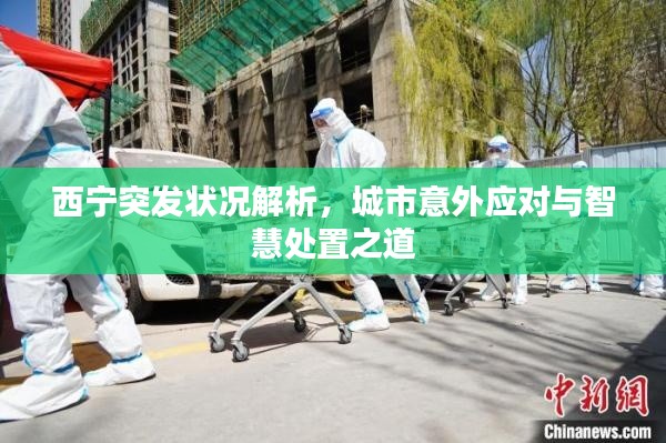 西寧突發(fā)狀況解析，城市意外應(yīng)對與智慧處置之道