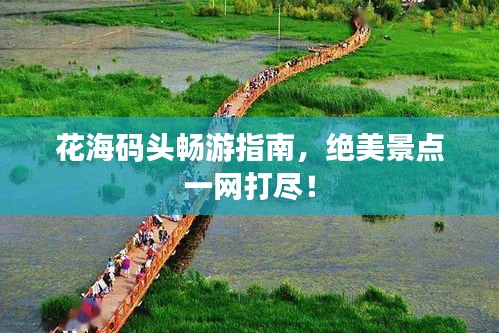 花海碼頭暢游指南，絕美景點(diǎn)一網(wǎng)打盡！