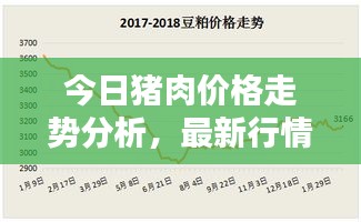 今日豬肉價(jià)格走勢(shì)分析，最新行情揭秘