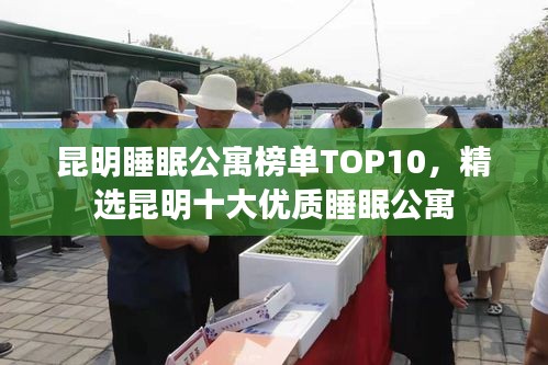 昆明睡眠公寓榜單TOP10，精選昆明十大優(yōu)質(zhì)睡眠公寓