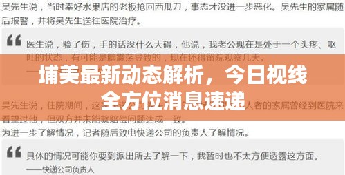 埔美最新動態(tài)解析，今日視線全方位消息速遞