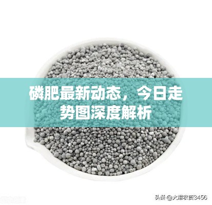 磷肥最新動(dòng)態(tài)，今日走勢(shì)圖深度解析