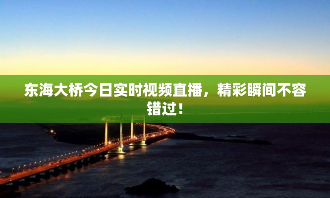 東海大橋今日實時視頻直播，精彩瞬間不容錯過！