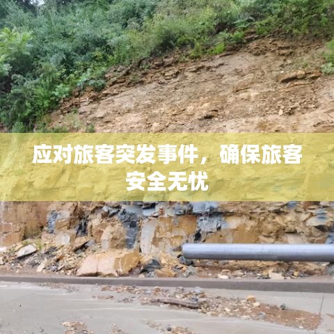 應(yīng)對(duì)旅客突發(fā)事件，確保旅客安全無憂