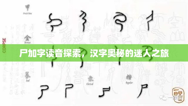 尸加字讀音探索，漢字奧秘的迷人之旅