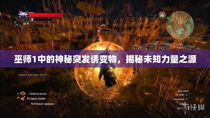 巫師1中的神秘突發(fā)誘變物，揭秘未知力量之源