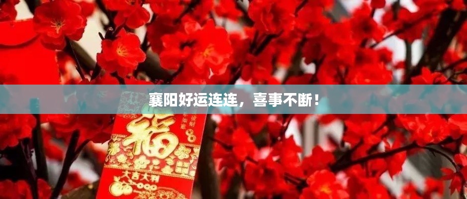 襄陽(yáng)好運(yùn)連連，喜事不斷！
