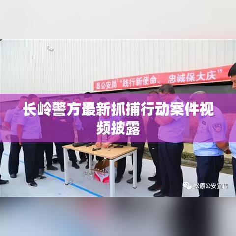 長嶺警方最新抓捕行動(dòng)案件視頻披露
