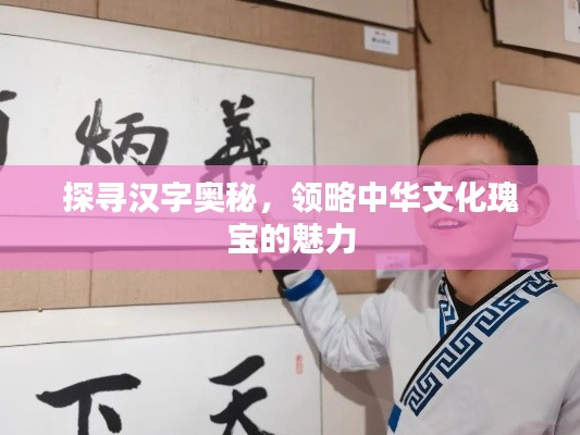 探尋漢字奧秘，領(lǐng)略中華文化瑰寶的魅力