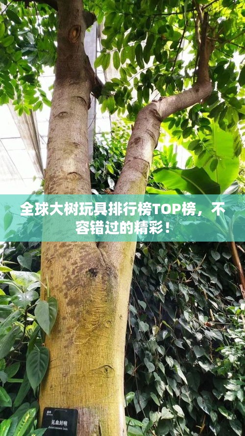 全球大樹玩具排行榜TOP榜，不容錯過的精彩！