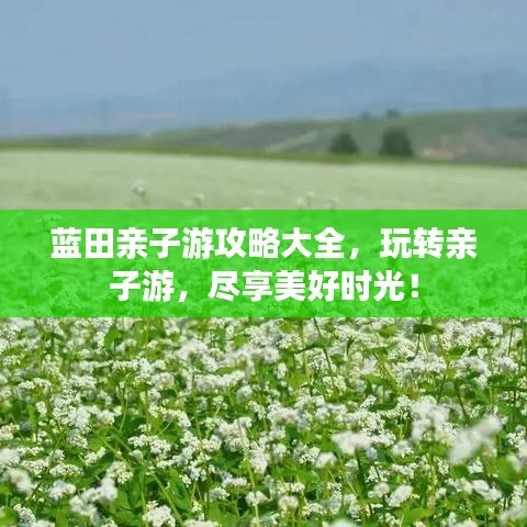 藍田親子游攻略大全，玩轉親子游，盡享美好時光！