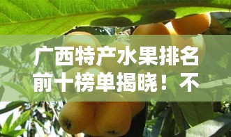 廣西特產(chǎn)水果排名前十榜單揭曉！不容錯過的十大美味水果推薦