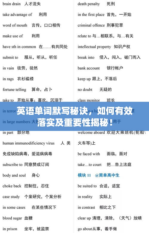 英語單詞默寫秘訣，如何有效落實及重要性揭秘！