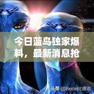 今日藍鳥獨家爆料，最新消息搶先看！