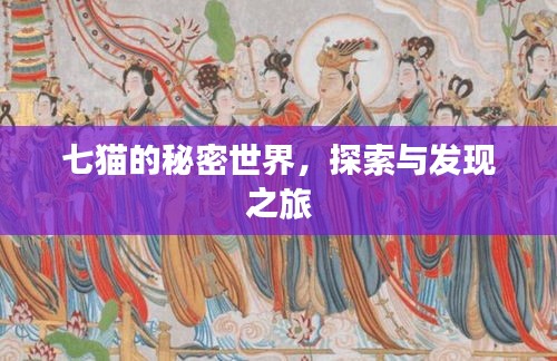 七貓的秘密世界，探索與發(fā)現(xiàn)之旅