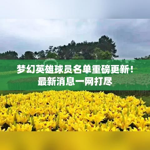 夢(mèng)幻英雄球員名單重磅更新！最新消息一網(wǎng)打盡