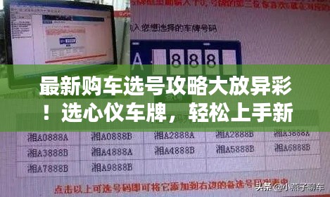 最新購(gòu)車選號(hào)攻略大放異彩！選心儀車牌，輕松上手新車！