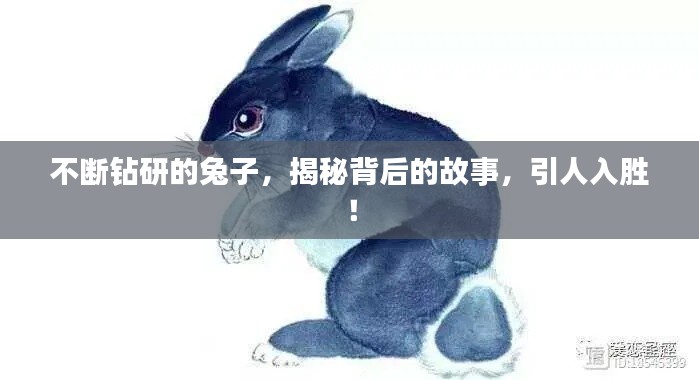 不斷鉆研的兔子，揭秘背后的故事，引人入勝！