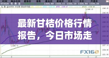 最新甘桔價格行情報告，今日市場走勢一網(wǎng)打盡！