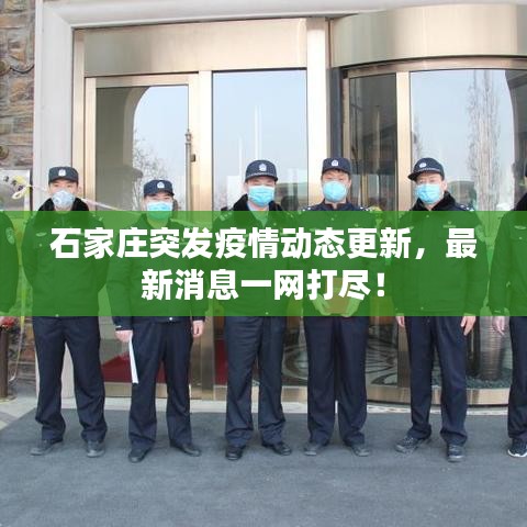 石家莊突發(fā)疫情動態(tài)更新，最新消息一網(wǎng)打盡！