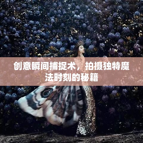 創(chuàng)意瞬間捕捉術(shù)，拍攝獨(dú)特魔法時刻的秘籍