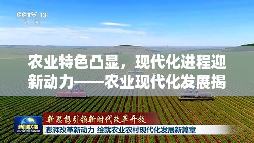 農(nóng)業(yè)特色凸顯，現(xiàn)代化進(jìn)程迎新動力——農(nóng)業(yè)現(xiàn)代化發(fā)展揭秘！