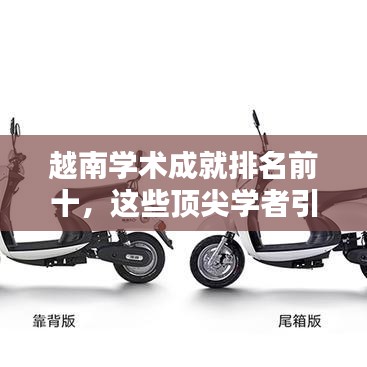 越南學(xué)術(shù)成就排名前十，這些頂尖學(xué)者引領(lǐng)全球創(chuàng)新浪潮！