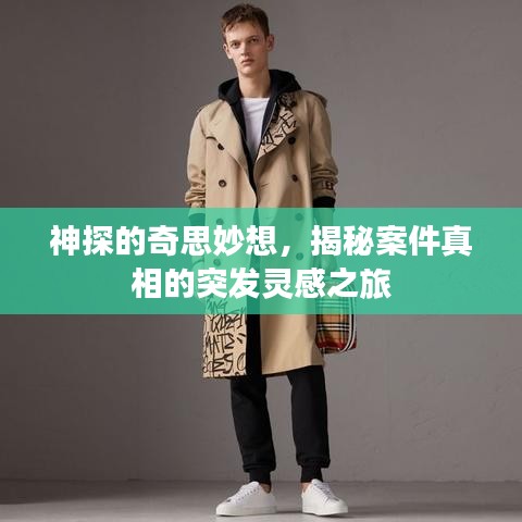 神探的奇思妙想，揭秘案件真相的突發(fā)靈感之旅