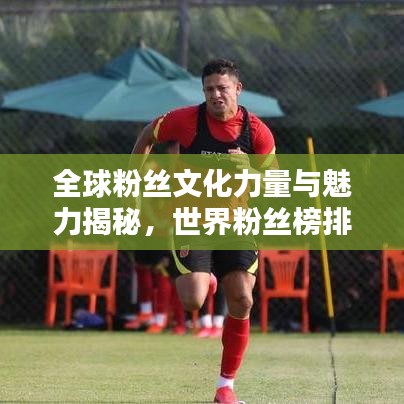 全球粉絲文化力量與魅力揭秘，世界粉絲榜排名探索