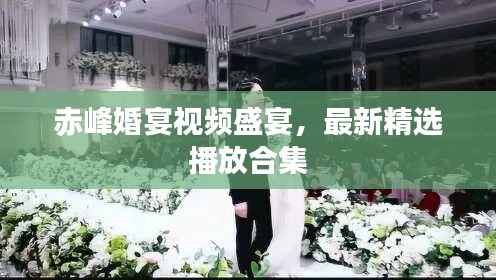 赤峰婚宴視頻盛宴，最新精選播放合集