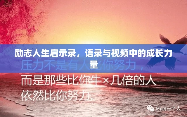 勵(lì)志人生啟示錄，語(yǔ)錄與視頻中的成長(zhǎng)力量