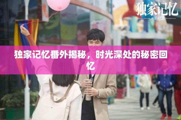 獨(dú)家記憶番外揭秘，時(shí)光深處的秘密回憶