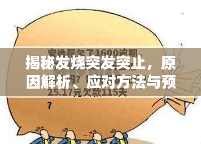 揭秘發(fā)燒突發(fā)突止，原因解析、應(yīng)對(duì)方法與預(yù)防策略全攻略