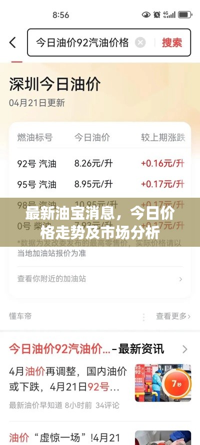 最新油寶消息，今日價(jià)格走勢及市場分析