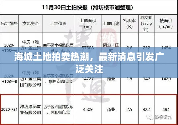 海城土地拍賣熱潮，最新消息引發(fā)廣泛關注
