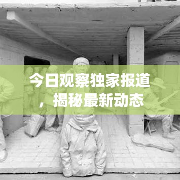今日觀察獨家報道，揭秘最新動態(tài)